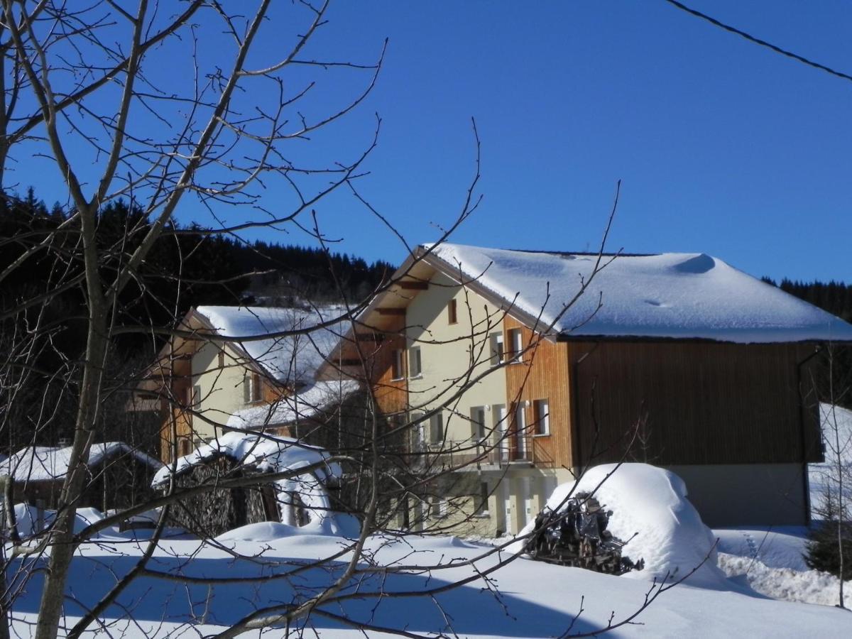 Appt 3* Le Haut Des Lacs Ксонруп-Лонжеме Екстериор снимка
